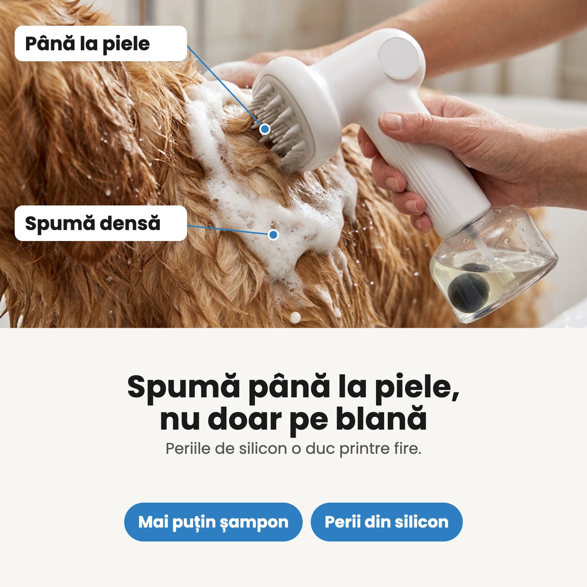 Spuma ajunge până la piele, prin blana câinelui