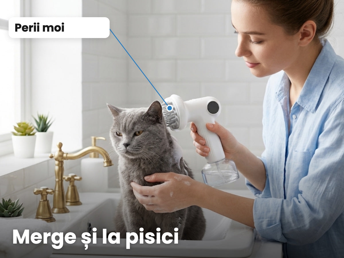 Merge și la pisici; perii moi